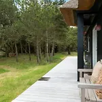 Enchanting Thatched In Dunes